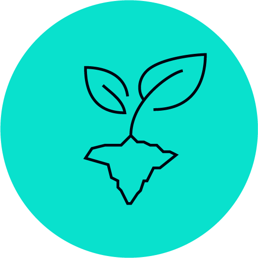 Emerge